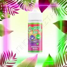Steam City Crazy Ice Watermelon Berries Flavour Shot